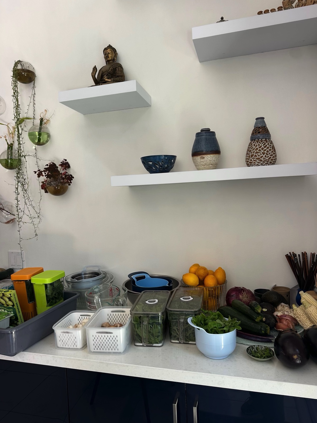 A counter of fresh produce and ingredients laid out before class