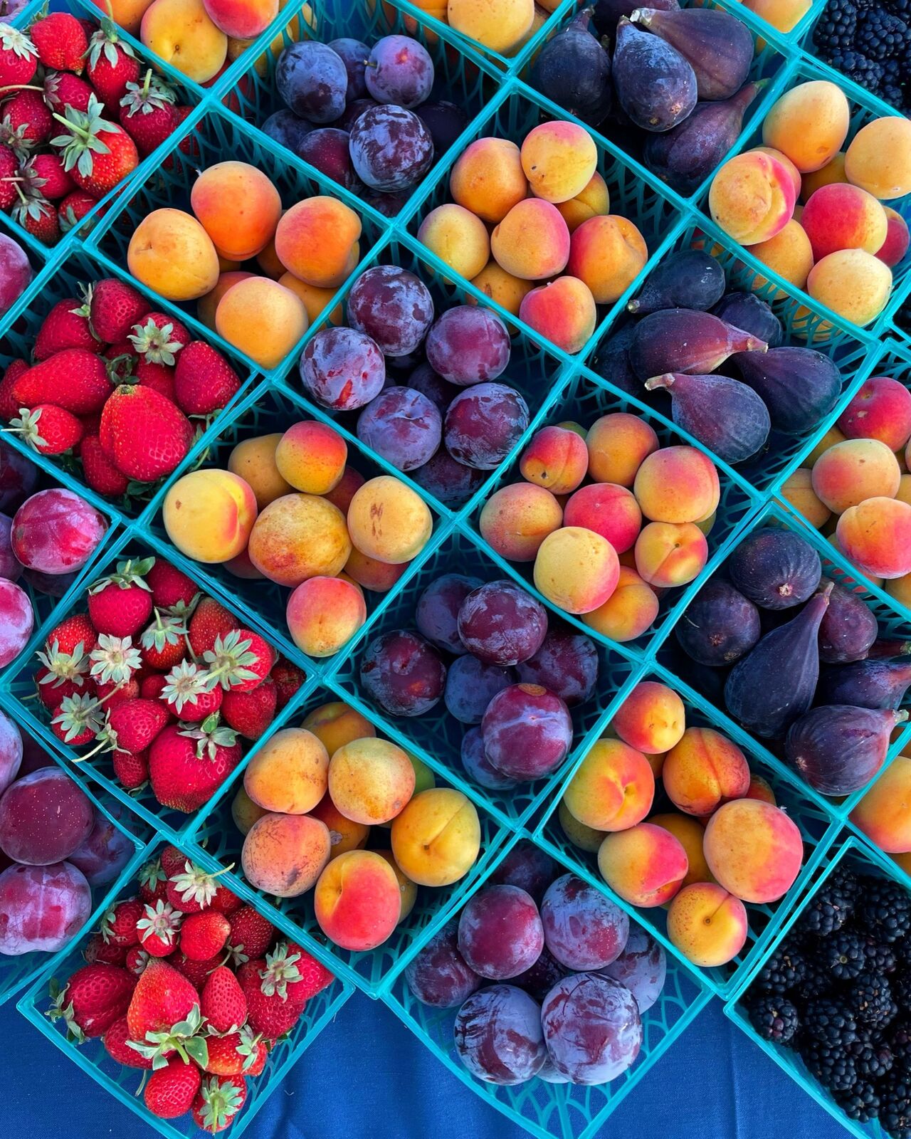 Baskets of strawberries, apricots, plums and figs at the farm that Sophie worked at- Longmeadow ranch